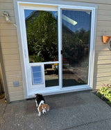 A beagle stands in front of a sliding glass door with a dog door insert.