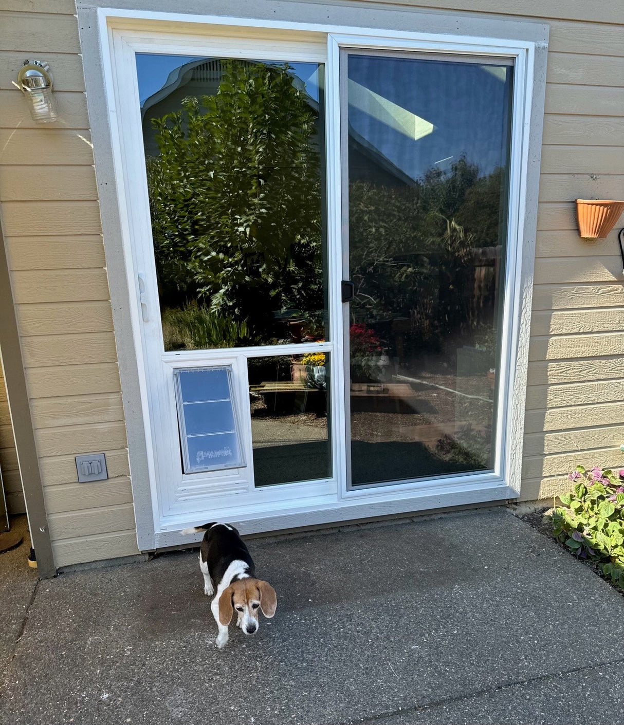 Pet Door Guys In The Glass Pet Door