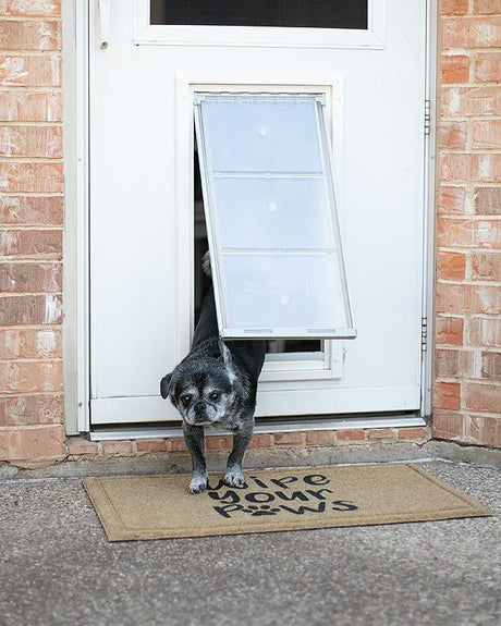 A small, gray dog exits a white door through a pet door onto a "Wipe Your Paws" doormat.