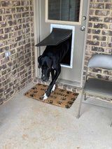 A black Great Dane with white paws exits a dog door in a brick building.