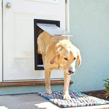 A golden retriever dog is coming through a dog door installed in a white front door.