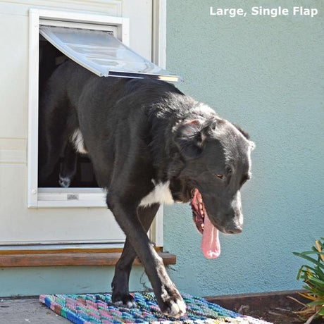 A black dog is exiting a pet door with its tongue hanging out.