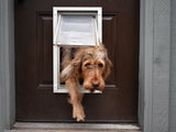 A furry dog is partially through a dog door in a brown door.