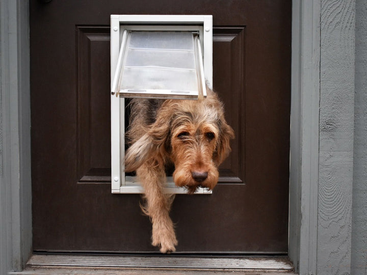 Endura Flap Pet Door For Doors