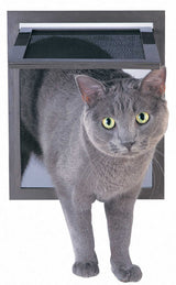 A gray cat with green eyes stands in a gray framed cat door with a mesh flap.