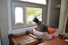 A gray cat sits in a striped pet bed on a bamboo table, looking out a window with a pet door installed.