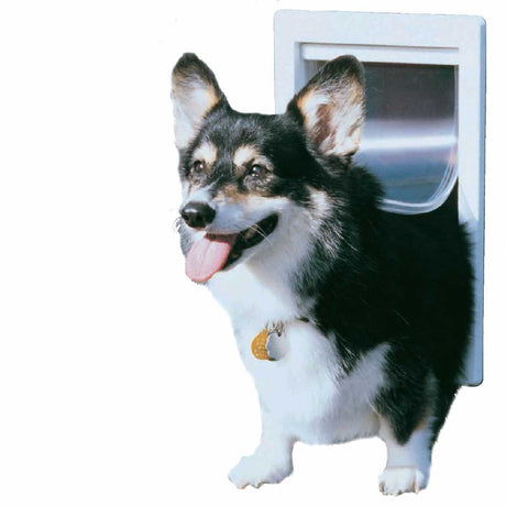 A tri-color corgi dog passes through a white-framed dog door.