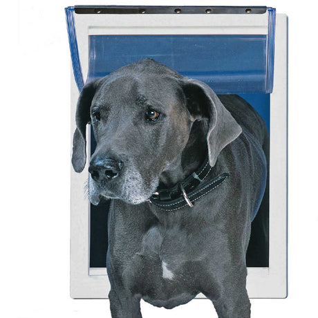 A large grey dog wearing a black collar is going through a dog door.