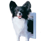 A Papillon dog is coming through a white dog door.