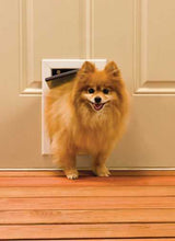 A fluffy orange dog is going through a white dog door in a beige door.
