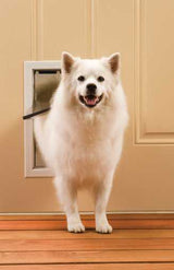 A fluffy white dog is coming through a dog door.