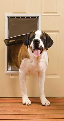 PetSafe Aluminum Freedom Pet Door Small