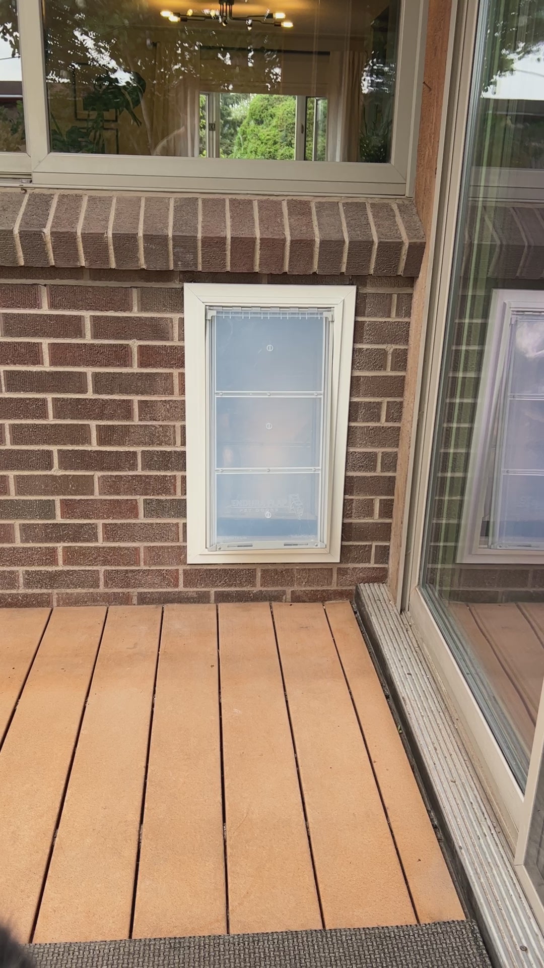 Endura Flap Pet Door for Thick Walls