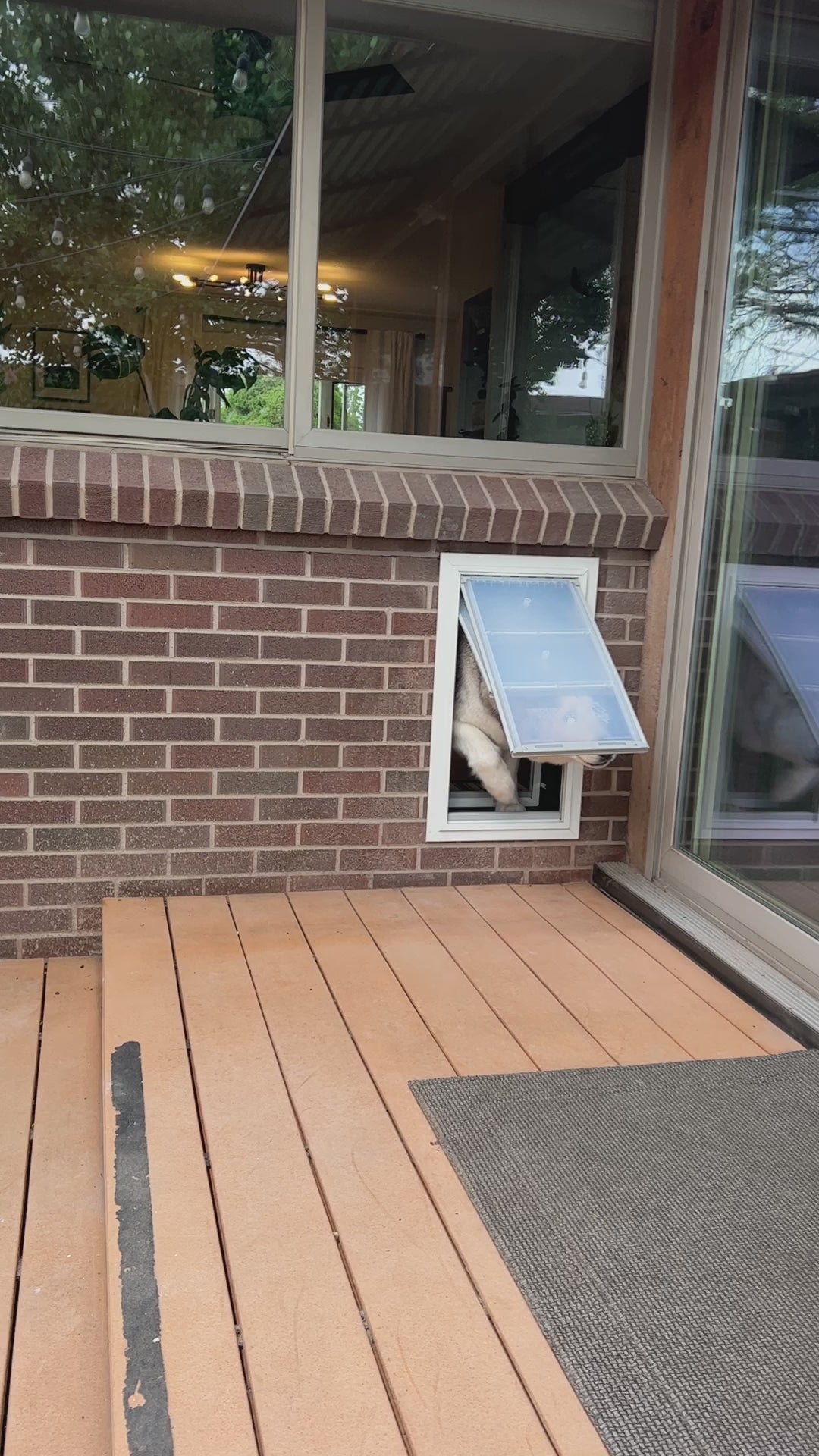 Endura Flap Pet Door for Thick Walls