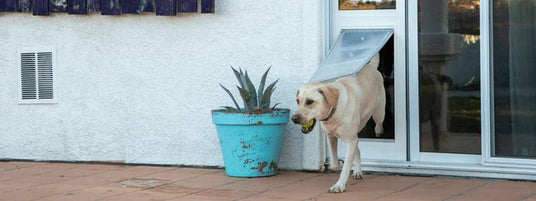 Sliding Glass dog doors