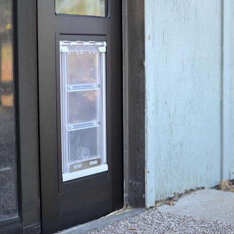 A dog door is installed in a dark-colored door frame.