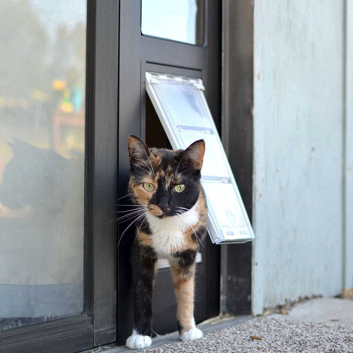 Endura Flap Cat Door for Sliding Glass Doors