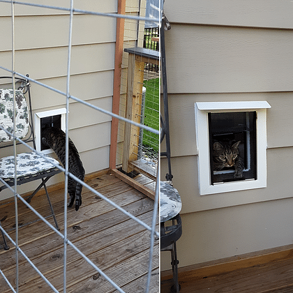 Hale Pet Doors for Walls