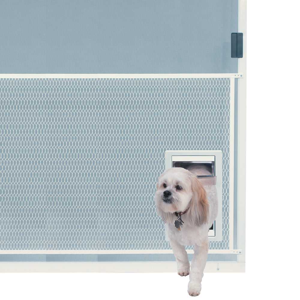 A small white dog walks through a dog door in a light blue mesh pet gate._Color_White