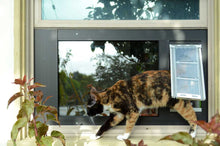 A tortoiseshell cat is exiting a window equipped with a pet door.
