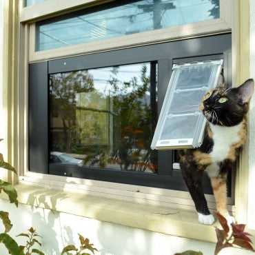 A calico cat peers through a pet door installed in a window.