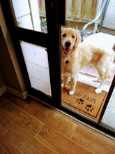 A golden retriever stands in a doorway with a dog door built into it.