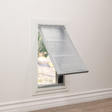 A pet door with a transparent flap is installed in a wall.