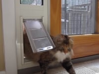 cat using Endura Thermo Panel 3e