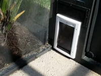 petsafe plastic pet door