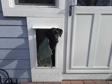 A black dog peers through a partially broken dog door.