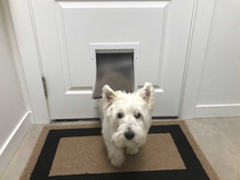 Petdoors