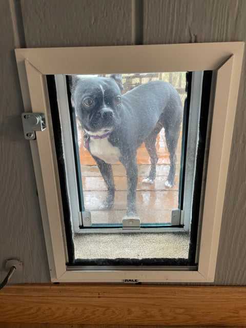 Hale Pet Doors for Walls