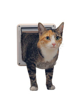 A cat is shown emerging from a white pet door.