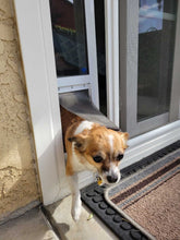 A small dog is partially through a dog door.