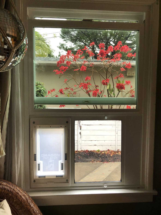 Dragon Double Flap Pet Door for Sash Windows