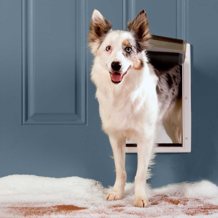Petsafe freedom replacement flap outlet