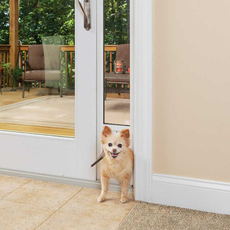 A small dog looks through a dog door installed in a glass patio door.