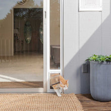 An orange and white cat exits a pet door installed in a sliding glass door.
