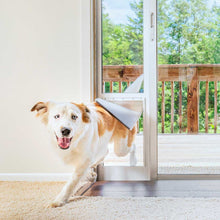 A white and brown dog runs through a dog door inserted into a sliding glass door.