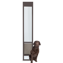 A brown Labrador sits next to a glass-paneled sliding door insert with a dog door.