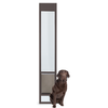 PetSafe Freedom Dog Door for Sliding Glass Door, three-quarter studio composite of a tall narrow sliding-glass-door pet door panel in a dark bronze finish, with an adult chocolate Labrador retriever seated to the right of the panel for size reference.