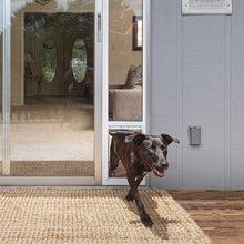 A black dog exits through a dog door in a sliding glass door onto a jute rug.
