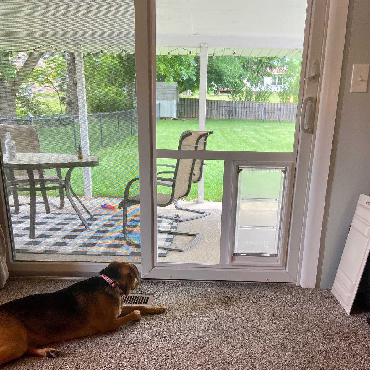 A dog lies indoors near a sliding glass door with a doggie door, looking out at a patio and yard_Color_White