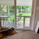 A dog lies indoors near a sliding glass door with a doggie door, looking out at a patio and yard_Color_White