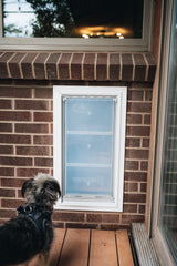 A dog looks at an Endura Flap pet door installed in a brick wall.