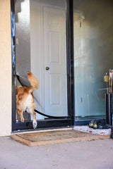 The hindquarters of a dog are visible through a doorway.
