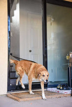A light brown dog is walking through a screen door onto an outdoor mat.