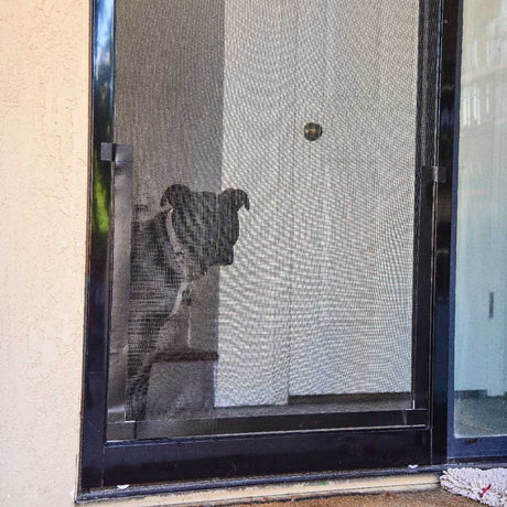 A dog is looking through a screen door.