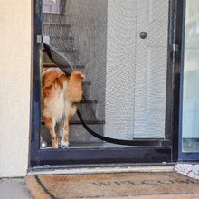 A dog, seen from the rear, goes through a screen door on a leash.