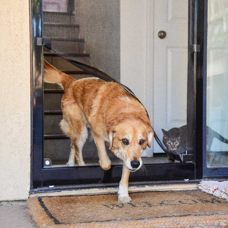 A tan dog exits through a screen door onto a welcome mat, with a gray cat visible inside.